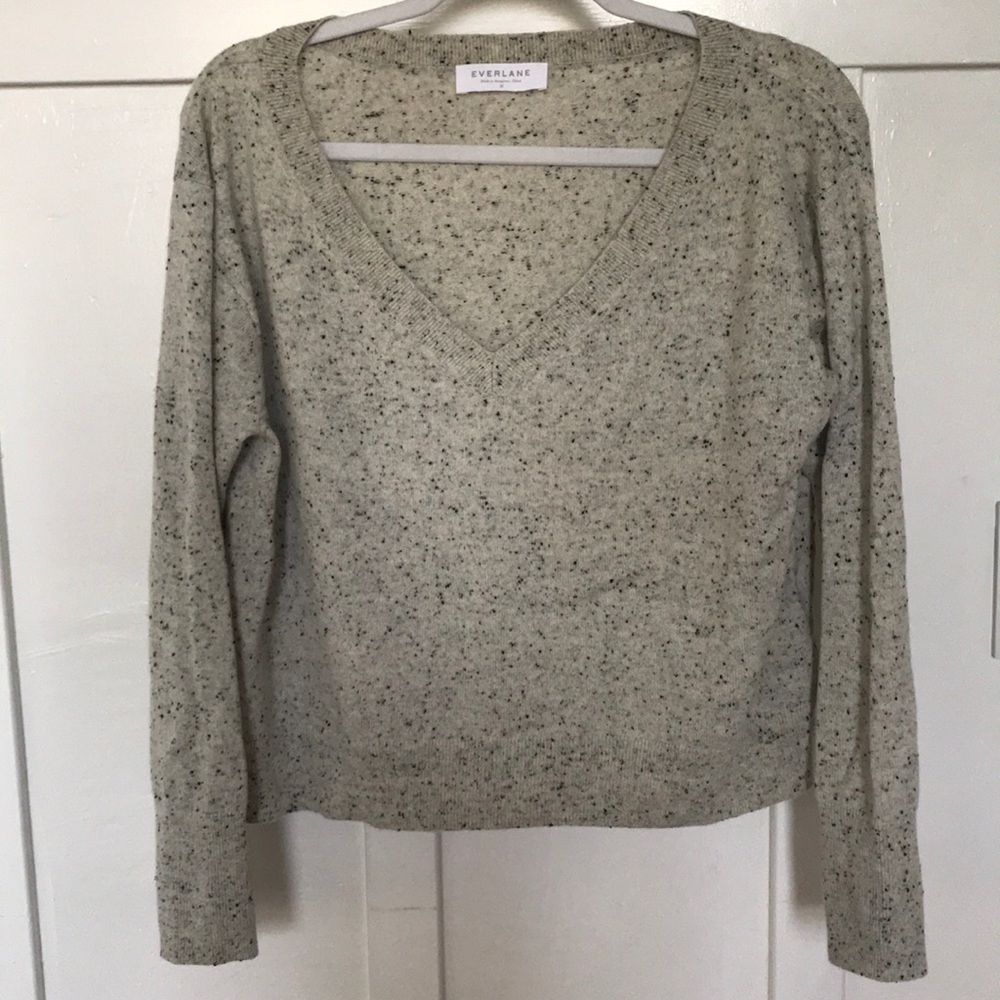 Everlane cropped v-neck cashmere sweater